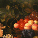 Fruit - Th. Aenvanck - part 4